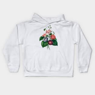 Morning-glory (Pharbitis hispida)- Botanical Illustration Kids Hoodie